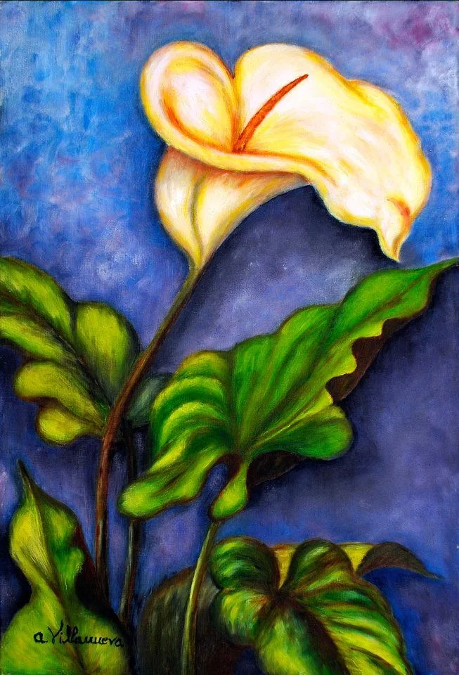 Cala | Flores | A. Villanueva