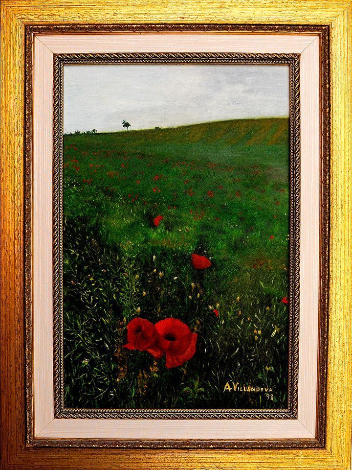 Campo De Amapolas | Flores | A. Villanueva